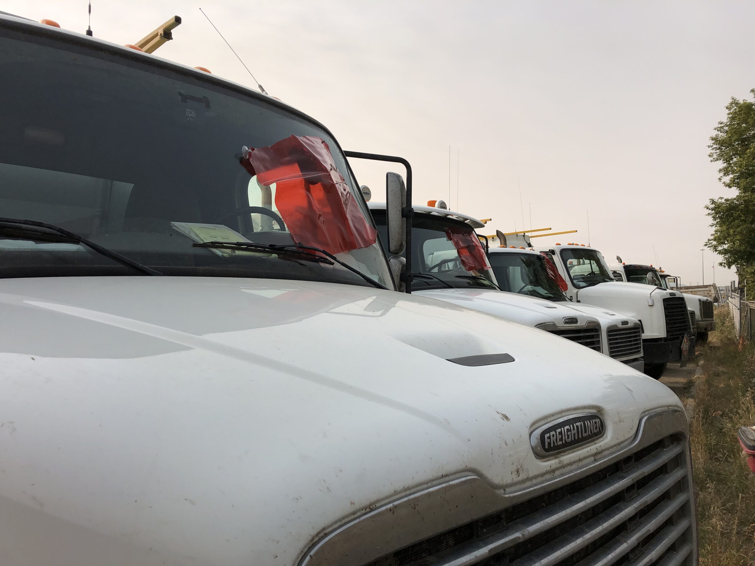 windshield rock chip repairs for a commercial fleet in Edmonton